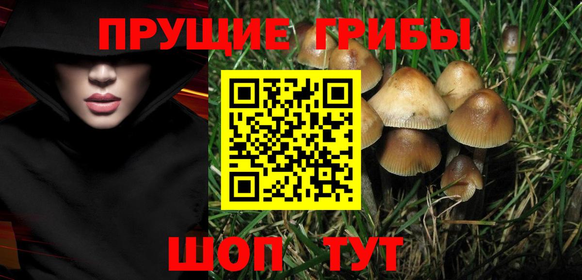 Галлюциногенные грибы MAGIC MUSHROOMS Фрязино