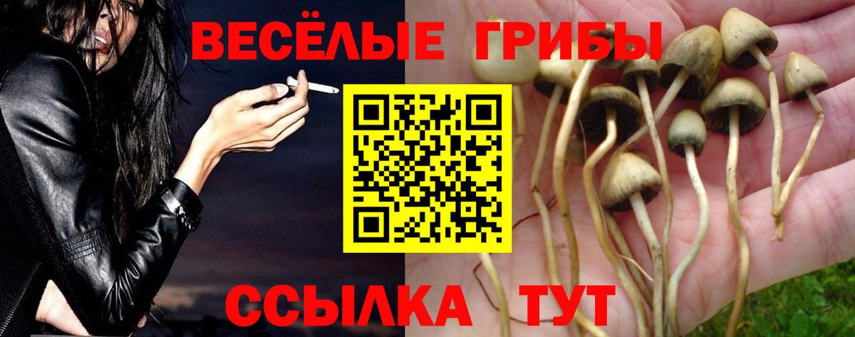 Псилоцибиновые грибы Psilocybine cubensis  Вход с VPN  Фрязино  Галлюциногенные грибы прущие грибы 